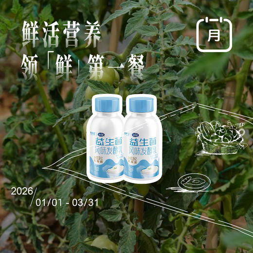 「银川本地日配服务」夏进益生菌风味发酵乳230ml/瓶 其他地区下单请联系客服 商品图0