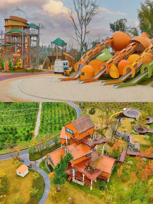 满团【金堂.英语运动营】场景英语教学，和外教一起户外探索，英语美食课，英语电影夜+英语派对，卡丁车，水上划船，橘子城堡运动会。 商品图1