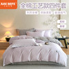 【品牌直发】加倍生活 全棉纯棉工艺款简奢织标四件套-彼得系列 yc0205011 商品缩略图0