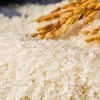 【本来生活&厂家直发】乔府大院五常大米5kg(红金系列) 商品缩略图3