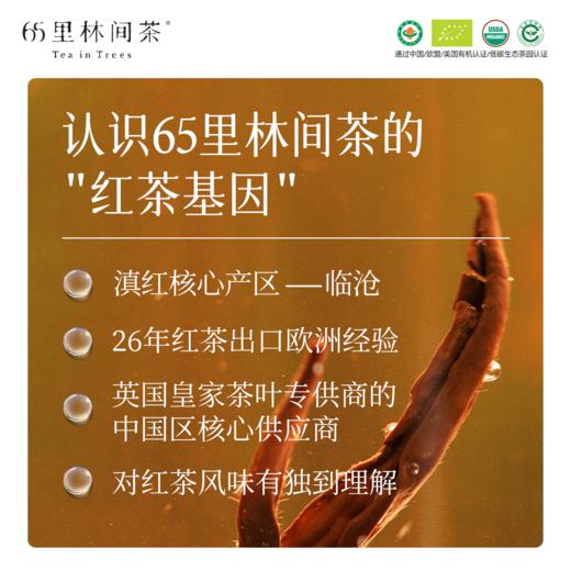 林间初见 | 有机茶多风味体验盒（红茶&时光） 商品图3