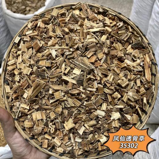 透骨草中药材野采生珍珠透骨草云南透骨草风仙透骨草 商品图3