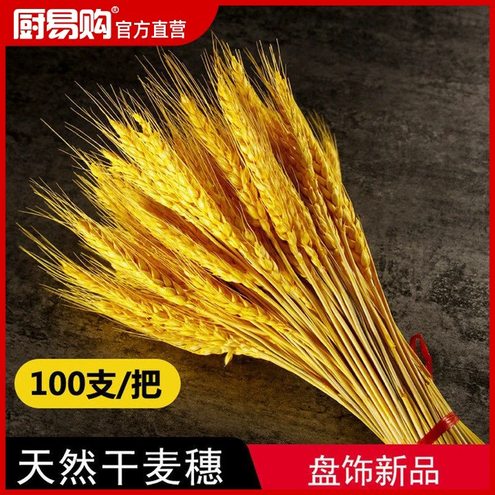 黄金麦穗盘饰 装盘神器，稻穗，开花稻子，麦穗 风靡全国潮厨领域！