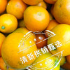 清新浸潭脆蜜金桔1斤装/袋 商品缩略图1