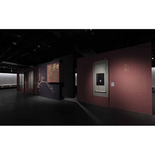 朗姿玉畅——赵之谦特展图录/应金飞 编/浙江大学出版社 商品图1