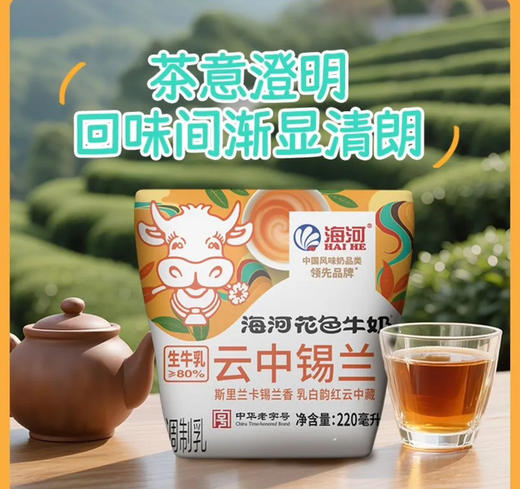 海河云中锡兰奶茶 商品图0