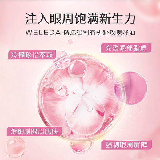 WELEDA维蕾德野玫瑰与白茶抚平眼霜12ml淡纹熬夜黑眼圈 商品图2