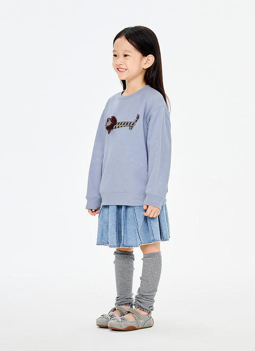 jnby  26年春款  套头卫衣  1Q2411750 商品图5