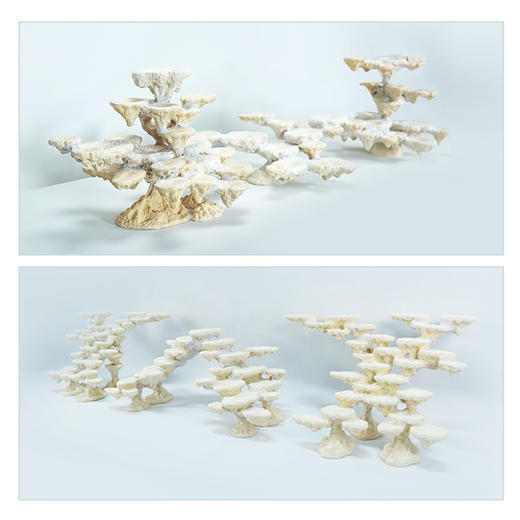 200缸块状烧制款造景 商品图2