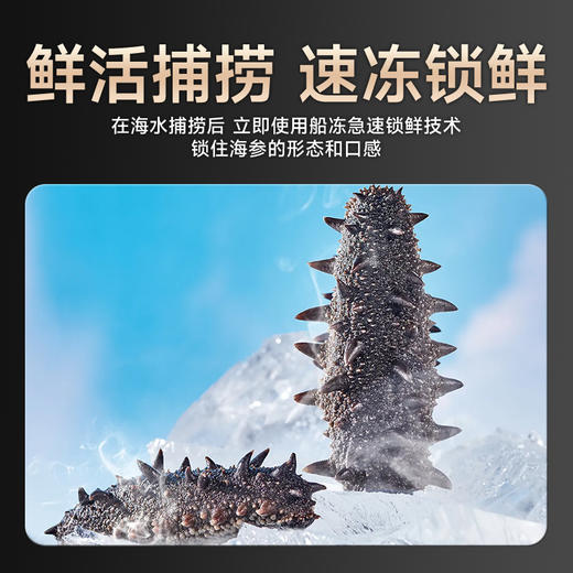 即食海参500g（8-10头）*1袋K 商品图2
