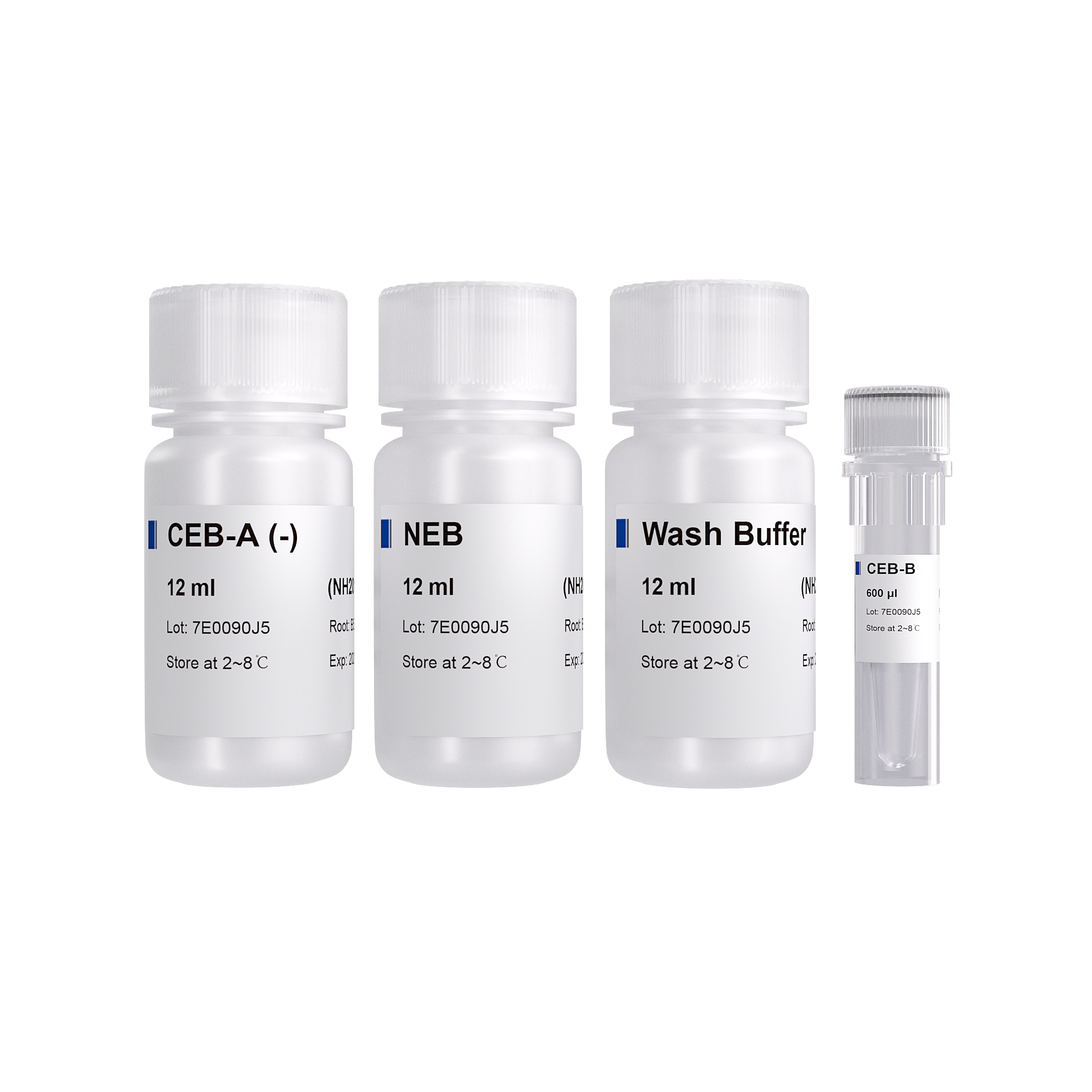 Hyperactive AM Nuclear Extraction Kit