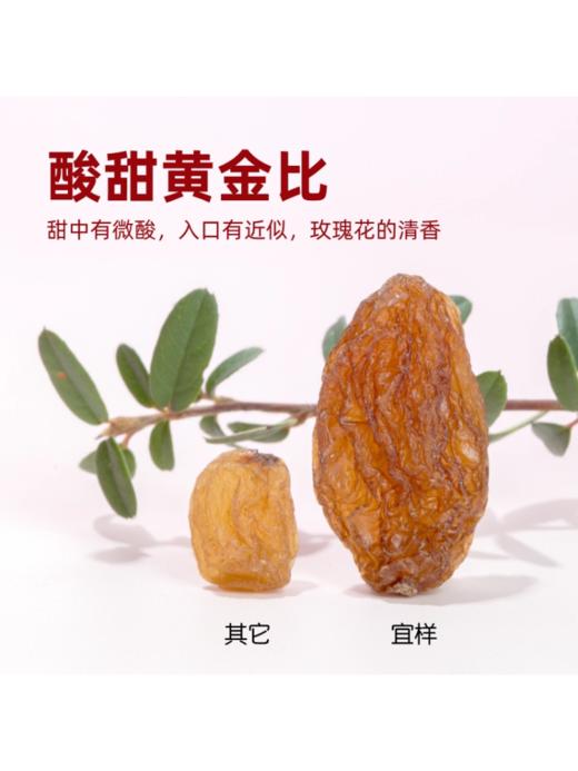 【年货底价清仓】宜样红香妃绿香妃葡萄干新疆特产葡萄干提子干年货 商品图2