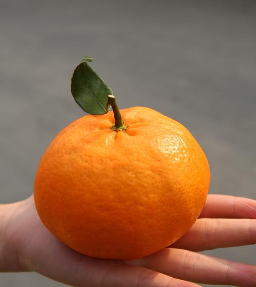 周四取货：【匠心级甘平礼盒】一盒8个左右，果肉丰满，果皮薄，细嫩化渣。 商品图1