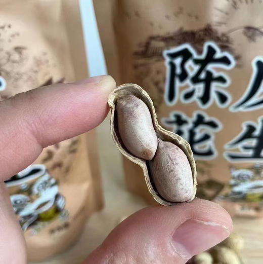 胖大个瓜子
一款久磕不腻的原味瓜子
相信懂它的人自然会钟情于它的原汁原味
颗粒饱满，色泽鲜亮
只需一眼或一口，就能了解它的与众不同 商品图11