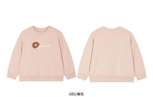 jnby  26年春款  套头卫衣  1Q2411750 商品图13