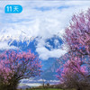 春季限定｜川藏南北线 林芝桃花+金川梨花 11日 商品缩略图2