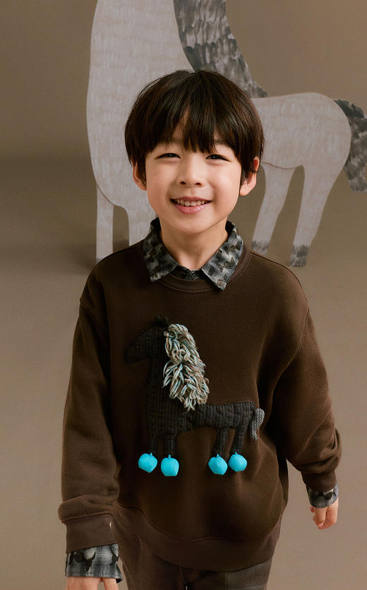 jnby  26年春款  套头卫衣 1Q2410870 商品图4