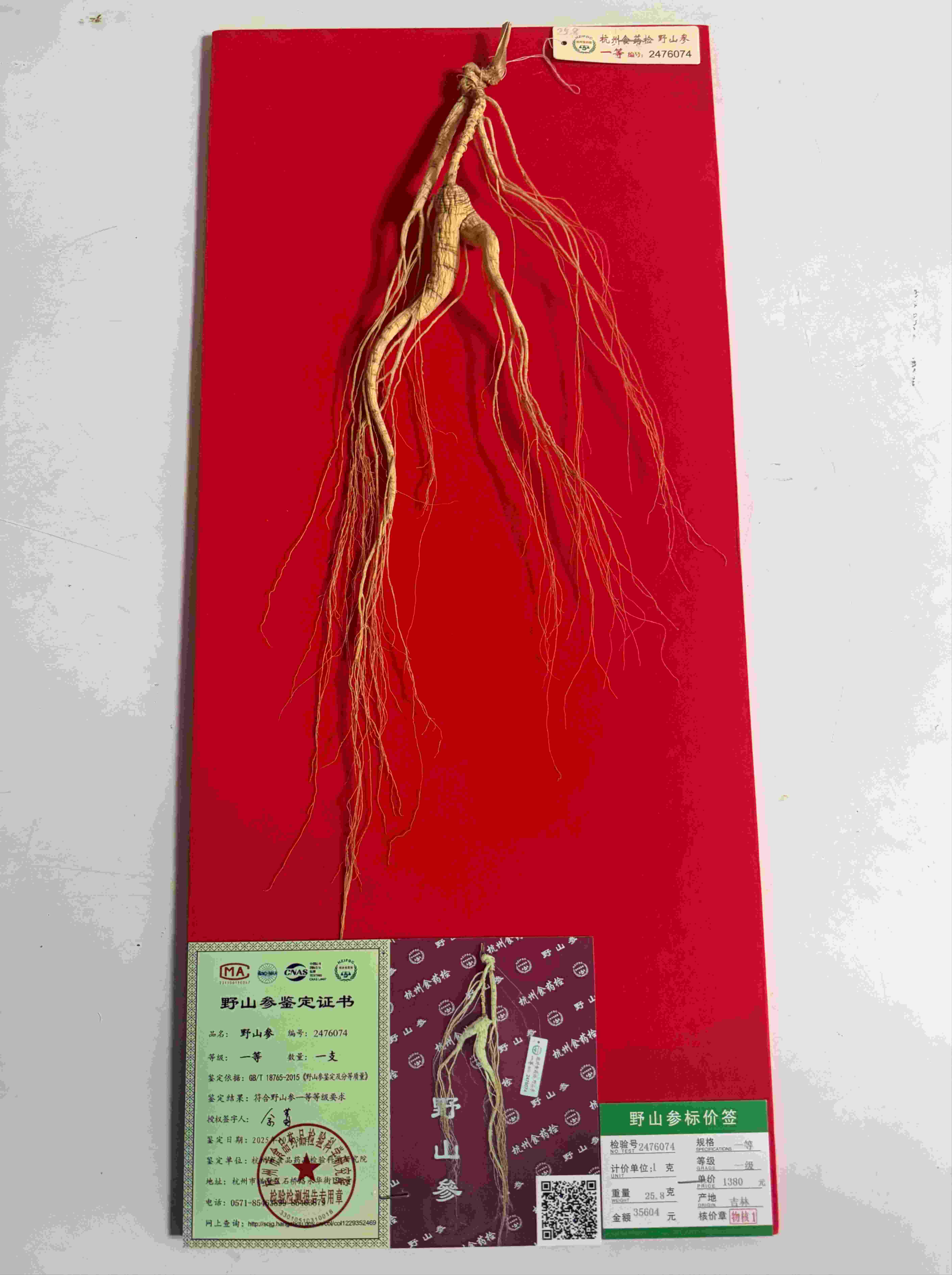 ＃山参*年年好评＃国药老字号，杭检野山参，正宗正品标价牌齐全，一支一价，对号购买