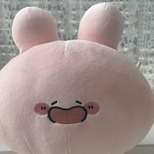 阿莎咪米微笑站姿公仔-纪念日百货门店同款169255017 商品图4