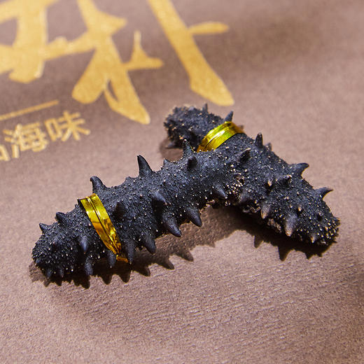 海朴臻鸾淡干海参200g（发制率8-10倍）滋补海参正宗大连刺参K 商品图5