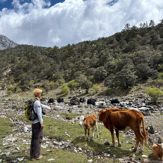 云南 | 丽江干河坝1日徒步，穿越森林，草甸，河流，冰川，湖泊，看白色荒原牛奶湖，探壮观玉龙大峡谷！五一端午路线提前预定！ 商品图4