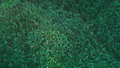 北京同仁堂六宝滋补马年限定礼盒 商品图5