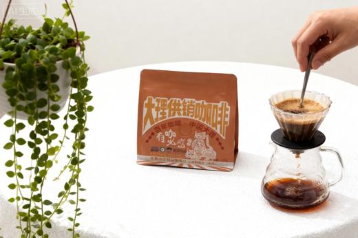 粉波旁水洗精品咖啡豆227g 商品图5