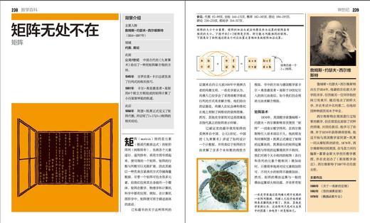 数学百科（全彩） 商品图3