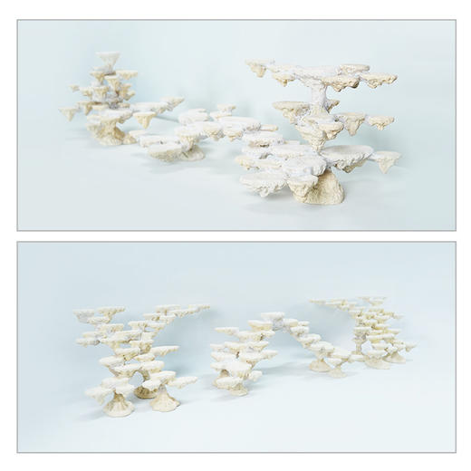 200缸块状烧制款造景 商品图3