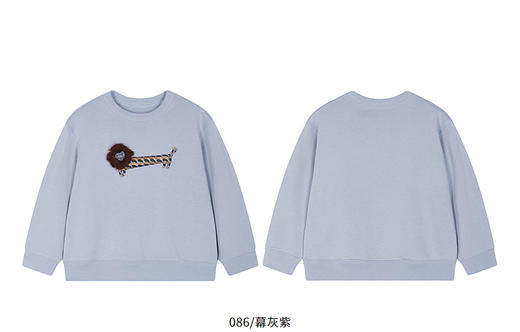 jnby  26年春款  套头卫衣  1Q2411750 商品图14