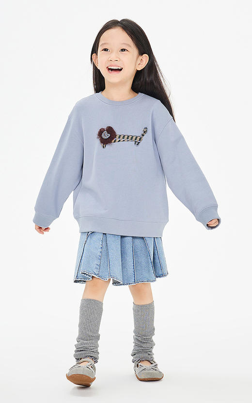 jnby  26年春款  套头卫衣  1Q2411750 商品图0