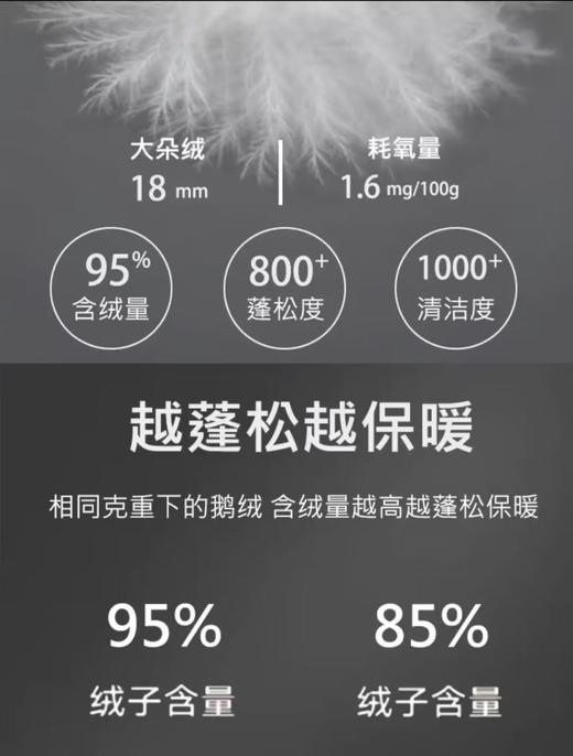 正品保真西伯利亚进口飞天95白鹅绒泡芙三防鹅绒服 商品图9
