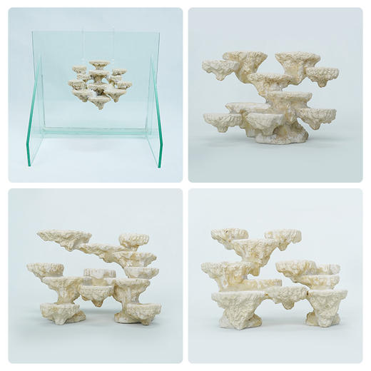 50缸块状烧制款造景 商品图1