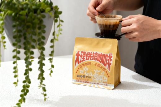 卡蒂姆AAA水洗精品咖啡豆227g 商品图2