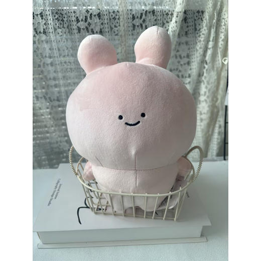 阿莎咪米站姿公仔-纪念日百货门店同款169255041 商品图2