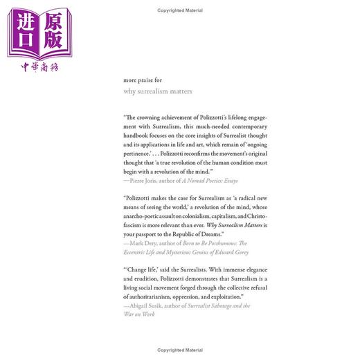 【中商原版】Why Surrealism Matters 进口艺术 超现实主义为何重要 Yale 商品图1