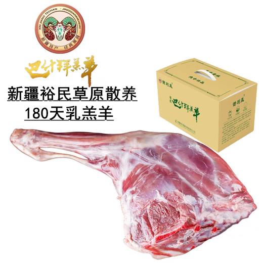 巴什拜羔羊3公斤粗分割鲜羊腿礼盒 商品图1