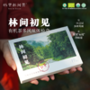 林间初见 | 有机茶多风味体验盒（红茶&时光） 商品缩略图0