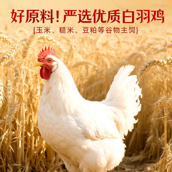 王小卤虎皮凤爪卤鸡爪卤味休闲解馋追剧聚会零食鸡肉开袋即食卤香味400g /休闲食品 /肉类零食 /鸡肉类 商品图2