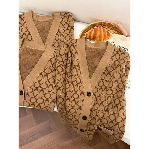 「高货rp」全新升级【铂金会员330/天猫439/差价109】(11732)洛诗琳气质提花针织开衫2026春季新款静奢老钱风V领针织羊毛外套 商品图2