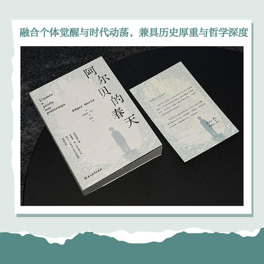 【樊登好书】阿尔贝的春天 商品图2
