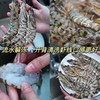 舟山野生蓝尾竹节虾 | 家宴C位 时令新鲜 到港直发 不包冰！足斤足两！ 虾肉紧实白嫩 口感鲜甜 商品缩略图6