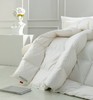 卡夫曼鹅绒被，白鹅绒，带给你舒适的睡眠 商品缩略图4