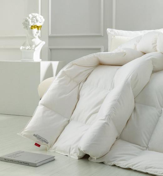 卡夫曼鹅绒被，白鹅绒，带给你舒适的睡眠 商品图4