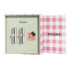 【爆款】送礼袋！普拉达三件套粉格四方礼盒配礼袋（银管口红U001/B107-B101-我本莫测7ml） 商品缩略图0
