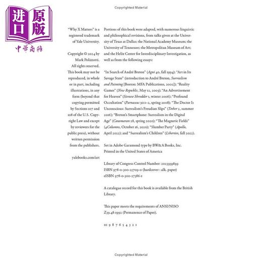 【中商原版】Why Surrealism Matters 进口艺术 超现实主义为何重要 Yale 商品图2