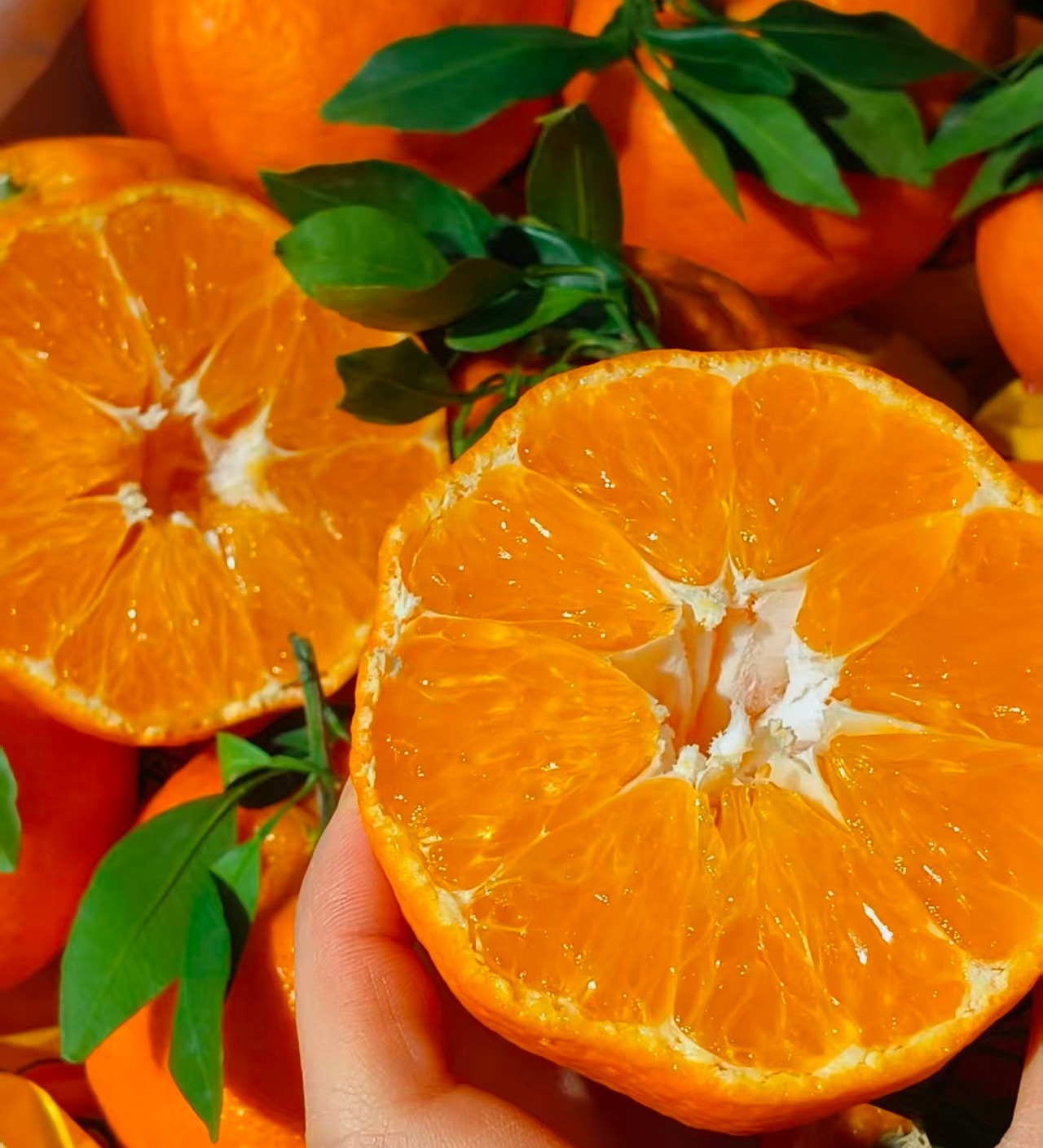 周四取货：【匠心级甘平礼盒】一盒8个左右，果肉丰满，果皮薄，细嫩化渣。