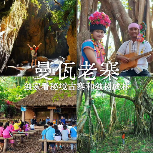 云南｜版纳秘境曼佤老寨1-2天路线可选，曼佤老寨/章朗秘境/雨林溪谷瀑布徒步/独树成林/布朗民俗体验/日出云海/千年古寨佛寺！独家小众深度探索！五一端午路线提前预定！ 商品图0