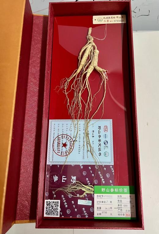 ＃山参*年年好评＃国药老字号，杭检野山参，正宗正品标价牌齐全，一支一价，对号购买 商品图5