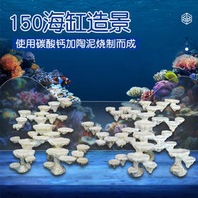 150缸块状烧制款造景